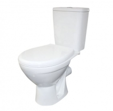 ������ Rosa ���� �� ���56  - ���� ��� ��������