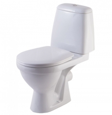 ������ Rosa ������� �� ���04