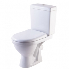 ������ Rosa ���� ���� �� ���27  - ���� ��� ��������