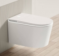 ������ ��������� ����������� � ������������ RGW SW-71  - ���� ��� ��������