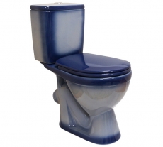 ������ Rosa ���� ����� �� ���10  - ���� ��� ��������